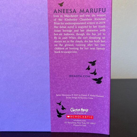 Rebel of Fire and Flight by Anneesa Marufu ~ Young Adult YA Fantasy Fiction - Picture 9 of 11